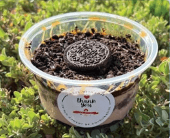 Oreo Caramel Cake