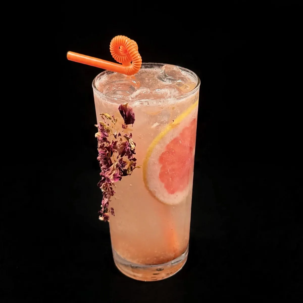 Paloma